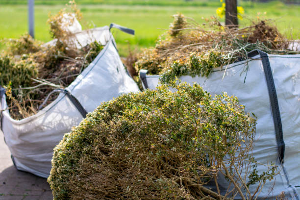 Professional Junk Removal in Drexel, NC
