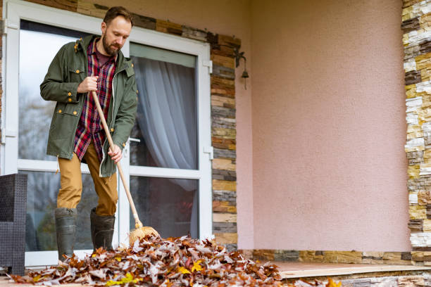 Debris Removal in Drexel, NC